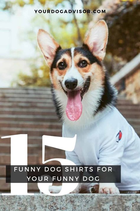 15 Funny Dog Shirts For Your Funny Dog | Your Dog Advisor Dog owners | doggie enthusiasts | raising a dog | raising a puppy | dog owner tips | dog product recommendations | dog products | dog training | dog health tips | gifts for dogs | gifts for dog owners | dog care tips | Dog Lovers | Doggie Desires Funny Dog Shirts For Dogs, Dog Owner Tips, Shirts For Dogs, The Perks Of Being, Dog Jokes, Cat Jokes, Dog Health Tips, Gifts For Dogs, Dog Fashion