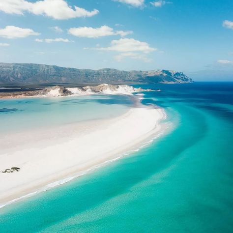 Socotra Island Yemen, Socotra Island, Summer Nature Photography, Socotra, Life Dreams, Travel Wishlist, Summer Nature, Colour Inspiration, Wallpaper Space