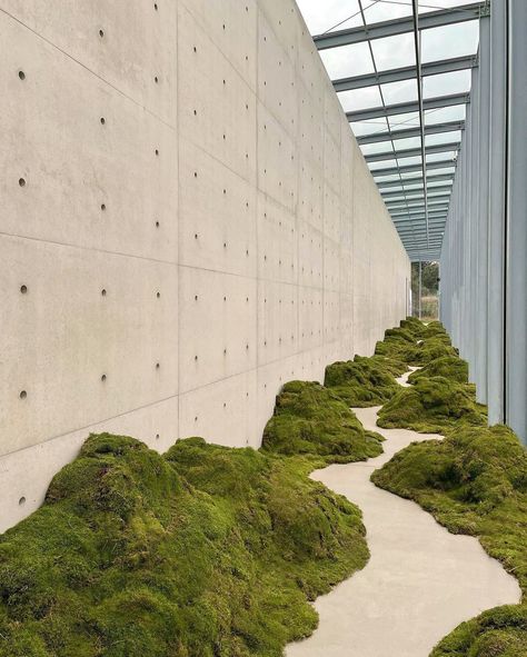 Moss Walkway, Plant Installation, Flower Installation, Moss Garden, Installation Design, Walkway, Exhibition Design, Landscape Architecture, Architecture Photography