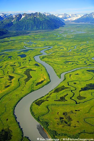 Copper River Delta, Chugach National Forest, Cordova, Alaska #alaska #chugach Alaska Scenery, Cordova Alaska, Usa Nature, Ketchikan Alaska, Zhangjiajie, Alaska Usa, Human Eyes, River Delta, Image Nature