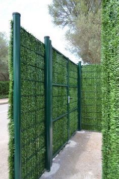 Reka Bentuk Landskap, Cheap Privacy Fence, Fences Ideas, Oasis Backyard, Taman Diy, Green Fence, Privacy Fence Designs, نباتات منزلية, Garden Privacy