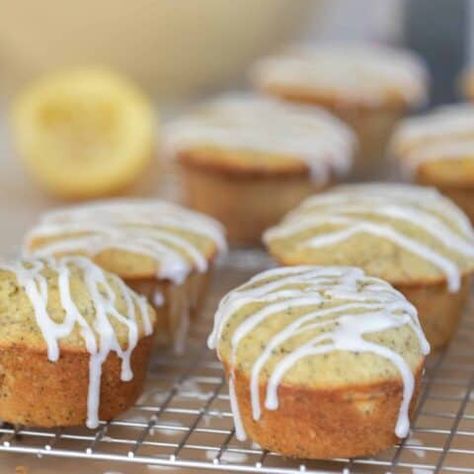 Sourdough Lemon Poppy Seed Muffins - Farmhouse on Boone Sourdough Muffin, Sourdough Lemon, Use Sourdough Discard, Homemade Breakfast Recipes, Sourdough Muffins, Poppyseed Muffins, Farmhouse On Boone, Lemon Poppy Seed Muffins, Seed Muffins