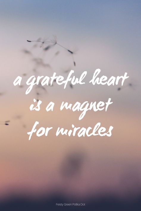 Gratitude Quotes Thankful, Miracle Quotes, Grateful Quotes, Happy Quotes Inspirational, Thankful Quotes, 20th Quote, Gratitude Affirmations, Thanksgiving Quotes, Gratitude Quotes