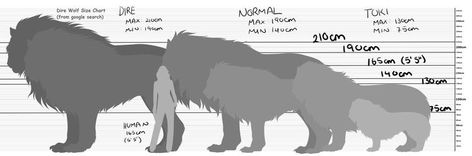 Wolf Size, Wolf Rider, Wolf Art Fantasy, Werewolf Stories, Medieval Romance, Fantasy Wolf, Dire Wolf, Wolf Drawing, Canine Art