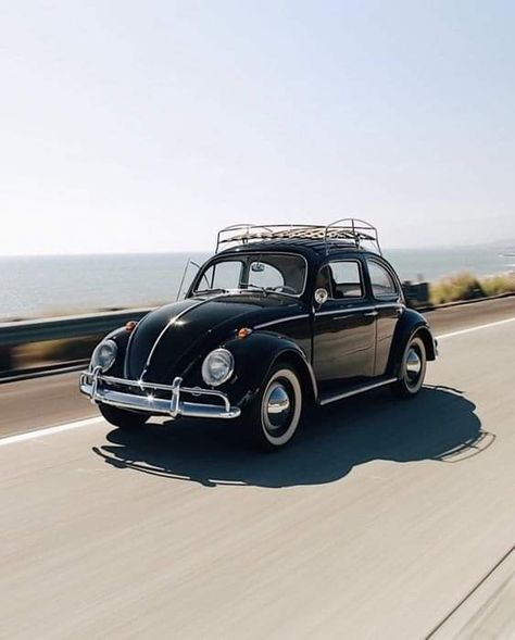 Beatle Car Volkswagen Vintage, Beatle Car Volkswagen, Beetle Car Volkswagen, Car Beetle, Volkswagen Vintage, Volkswagen Beatle, Classic Volkswagen Beetle, Beetle Volkswagen, Classic Beetle