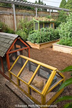 Chicken coop in back of small space backyard organic sustainable garden | PhotoBotanic Planted Roof, Mulch Walkway, Chicken Furniture, Garden Library, Space Garden, Garden Organization, Colorful Houses, City Farm, Rabbit Hutch