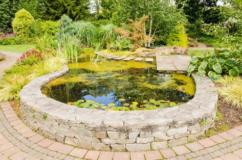 Ground Water Feature, Garden Pond Ideas, Diy Ponds Backyard, Raised Pond, Terraced Garden, Fountain Ideas, Ideas For Backyard, Goldfish Pond, Relaxing Backyard