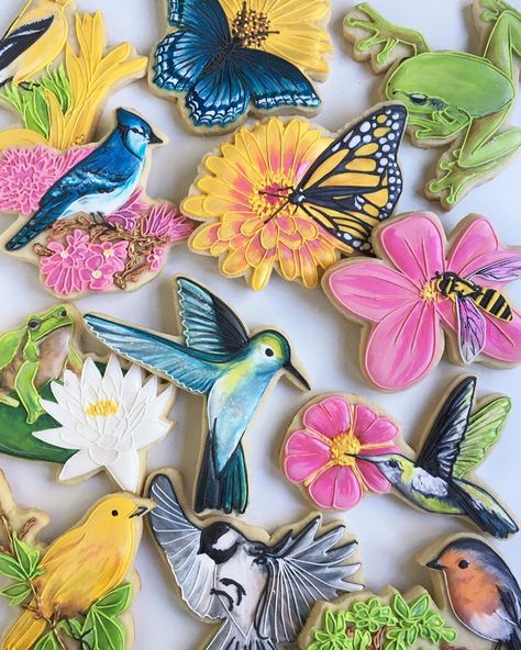 Lucie Radcliffe on Instagram: “Talk birdy to me 😉🦜🐦🕊😂 • This “Garden Creatures” custom cookie order was created for an avid gardener’s birthday this weekend 🌼🌷🌸 Every…” Hummingbird Cookies, Garden Creatures, Spice Sugar Cookies, Bird Cookies, Cookies Decoradas, Bird Cakes, Custom Cookie, Spring Cookies, Pretty Cookies