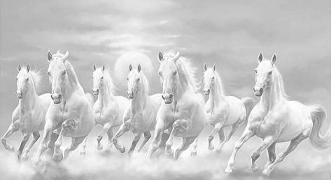 Seven White Horses Running, 7 Horses Running Painting Full Hd, 7 Horses Running Painting Vastu Hd, 7 Running Horses Wallpaper Hd, Horse Wallpaper For Laptop, 7 Horses Running Painting Vastu, Running Horses Wallpaper, Running Horse Wallpaper For Phone, White Horse Wallpaper