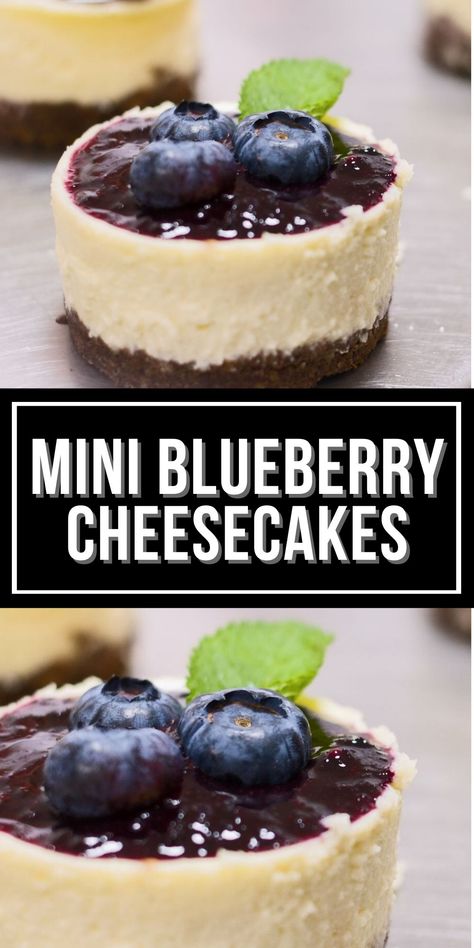 Mini Cheesecakes Blueberry, Unique Cheesecakes, Sequoia Wedding, Mini Blueberry Cheesecakes, Cheesecake Cups Recipe, Blueberry Cheesecake Recipe, No Bake Cherry Cheesecake, Control Yourself, Lemon Blueberry Cheesecake