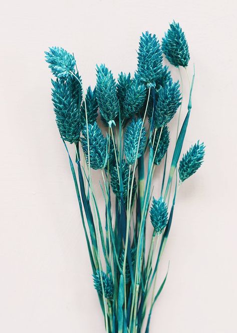 Motocross Wedding, Turquoise Aesthetic, Turquoise Vase, Paper Flower Art, Christmas Garlands, Spring Palette, Sea Decor, Wedding Favors Fall, Flowers Dried