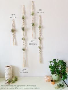 Hygge Wall Decor, Scandinavian Plant, Macrame Air Plant Hanger, Plant Hanger Pattern, Air Plant Hanger, Airplant Wall, Wall Planters Indoor, Rope Projects, Air Plant Display