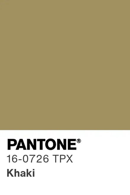 Khaki Pantone, Color Analysis, Khaki Color, Colorful Fashion, Color Trends, Hair Color, Fashion Trends, Color, Hair Colour