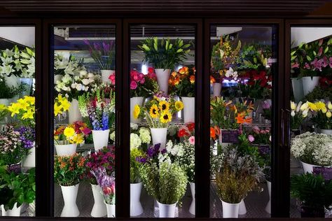 Floral Refrigerator is an important piece of equipment that you should invest in your flower shop. However, not… Commercial Fridge, Display Fridge, Flower Cafe, Cheap Flowers, Shop Illustration, Grey Paint, Grey Paint Colors, Cake Display, Flower Display