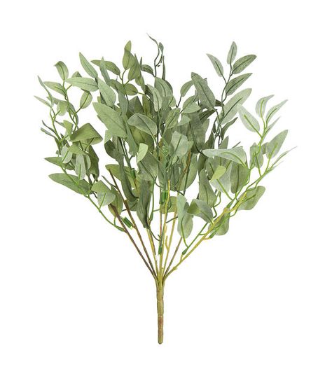 18" Willow Eucalyptus Bush by Bloom Room | JOANN Faux Greenery Decor, Gunni Eucalyptus, Willow Eucalyptus, Taylor Wedding, Greenery Decor, Eucalyptus Leaves, Joanns Fabric And Crafts, Types Of Flowers, Flower Basket