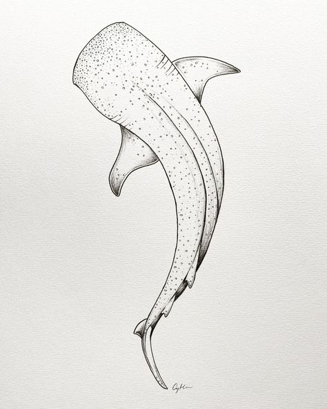 Sharks Spine Tattoo, Small Shark Drawing, Box Fish Tattoo, Marine Animals Tattoo, Whale Shark Tattoo Design, Ocean Themed Tattoos, Whale Shark Drawing, Theme Tattoos, Ocean Theme Tattoos