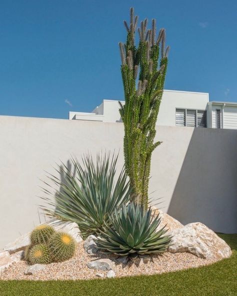 est garden ideas for home  how to design a garden small garden ideas ] home garden design Arizona Backyard Landscaping, Palm Springs Landscaping, Cactus Garden Design, Desert Landscaping Backyard, Mid Century Landscaping, Cactus Garden Landscaping, Xeriscape Plants, Design A Garden, Desert Backyard