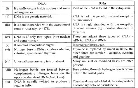 NCERT Solutions for Class 12 Biology Chapter 11 Biotechnology : Principles and Processes Biotechnology Principles And Process, Biology Class 12, Cell Organelles, Biology Lessons, Class 12, Biotechnology, Chapter 3, Biology, Education