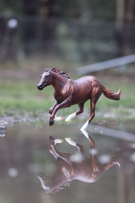 Breyer Photography, Horse Toys, Horse Pics, Breyer Horse, Star Stable, Toy Horse, Breyer Horses, Horse Photography, Beautiful Horses