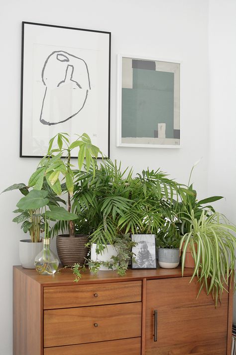 living room tour with west elm Interior Plants Decoration, Living Room Plants Decor, Home Tv Stand, Vintage Makeover, Pallet Tv Stands, Mid Century Console, Living Room Reveal, Green Velvet Sofa, Small Sideboard