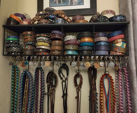 Dog Gear Wall, Dog Gear Storage, Dog Collar Display, Dog Supplies Organization, Gear Organization, Dog Room Decor, Dog Bedroom, Psychiatric Service Dog, Dog Equipment