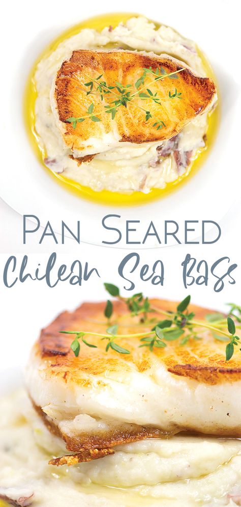 Chilean Sea Bass Recipe Pan Seared, Sea Bass Recipes Healthy, Cooking Sea Bass, Easy Fish Dinners, Sea Bass Recipes, Fish Dinner Recipes, Seafood Sauce, Seafood Entrees, Aip Paleo