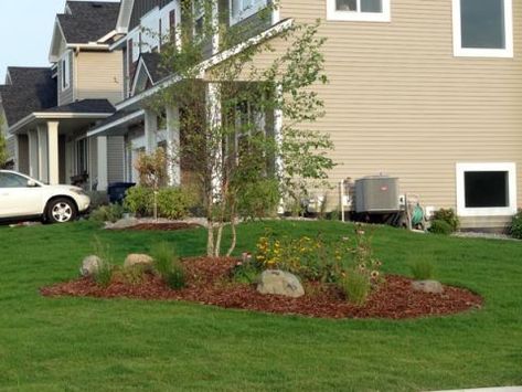 Landscape Front Yard, Front Yards Curb Appeal, Landscape Edging, Low Maintenance Landscaping, Professional Tips, Island Decor, Front Yard Garden, Landscaping Tips, Yard Design