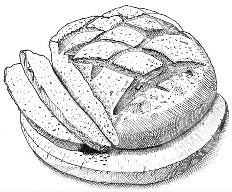 Bread Sketch, Bread Drawing, Panda Sketch, Burger Drawing, Pie Drawing, Hatch Drawing, F Tattoo, Typewriter Art, Pen Art Drawings