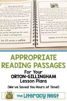 Imse Orton Gillingham, Og Reading, Orton Gillingham Activities, Orton Gillingham Lessons, Wilson Reading, Fluency Passages, Reading Lesson Plans, Teaching Spelling, Dysgraphia