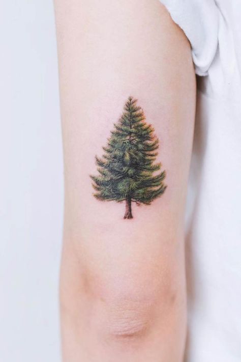 Pine Tree Tattoos For Women, Small Pine Tree Tattoo, Tree With Roots Tattoo, Oak Tree Tattoo Designs, Small Tree Tattoo, Pine Tree Tattoos, Tree Tattoos For Women, Evergreen Tree Tattoo, Simple Tree Tattoo