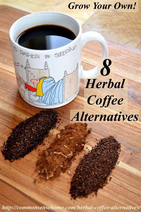 Herbal Coffee, Coffee Substitute, Low Carb Snack, Coffee Alternative, A Cup Of Coffee, Caffeine Free, Coffee Recipes, Healthy Happy, Cup Of Coffee