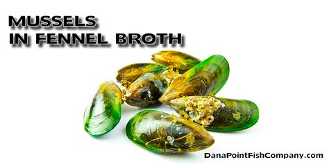 Mussels in Fennel Broth | Dana Point Fish Company Green Lipped Mussel, Synovial Fluid, Dana Point, Joints Pain Relief, Alternative Treatments, Disease Prevention, American Kennel Club, Health Supplements, Propylene Glycol