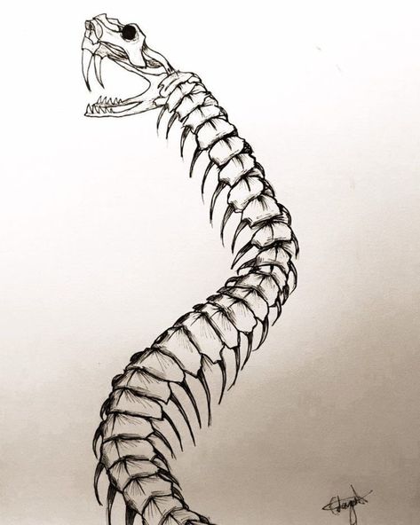 Snake Skeleton Drawing, Snake Skeleton Tattoo, Snake Skeleton, Trippy Tattoo, Skeleton Drawing, Anatomy Tattoo, Snake Painting, Skeleton Tattoo, Skeleton Anatomy