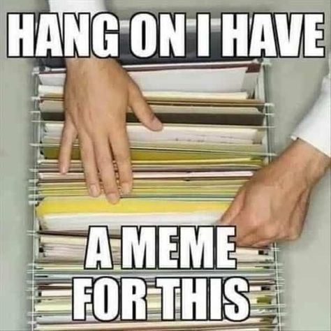 A Meme, Hang On, File Cabinet, The Words, The Story, Memes