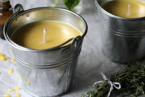 How To Make Citronella Candles Homemade Citronella Candles, Homemade Beeswax Candles, Citronella Candle, Candle Tutorial, Hand Dipped Candles, Citronella Essential Oil, Pint Mason Jars, Citronella Oil, How To Make Oil