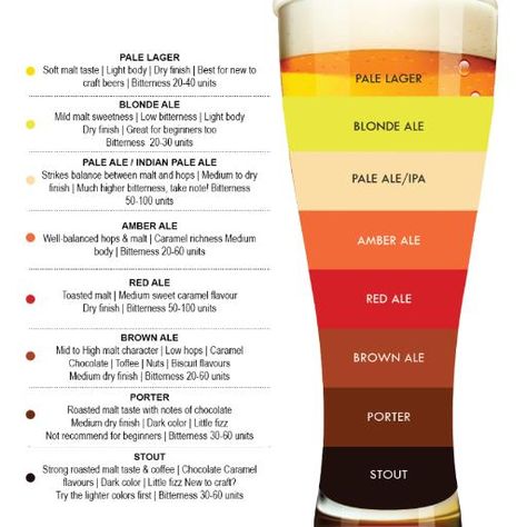 Appearance can look at a few different things including color, clarity, foam or head, and carbonation levels. #Beer #breweries #CraftBeer #CraftBrew #Drinks Beer Chart, Beer Infographic, Beer Facts, Beer Types, Beer Guide, Japanese Beer, Pale Lager, Pumpkin Beer, Beer 101