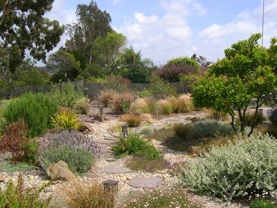 San Diego, CA Landscape Designers, Architects, Contractors Waterwise Landscaping, Ways To Conserve Water, Evergreen Landscape, Water Wise Landscaping, Water Wise Plants, Waterwise Garden, Drought Tolerant Landscape, Landscape Designers, Dry Garden