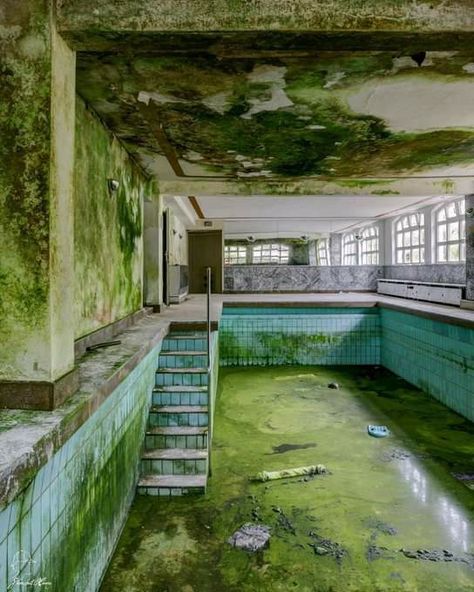 The green pool 🏊‍♀️ All Cheerleaders Die, Mini Swimming Pool, Swimming Dress, Creepy Old Houses, Swim Skirts, Dress Online Shopping, Swimming Wear, Green Pool, Abandoned Property