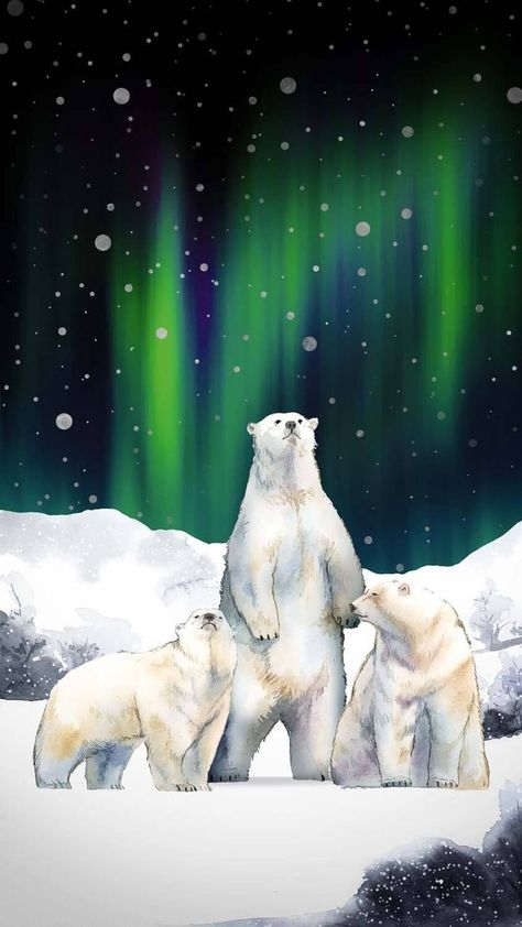 Colorful Bear Painting, Polar Bear Wallpaper, Polar Bear Paint, Polar Bear Drawing, Tech Wallpaper, Iphone Wallpapers Hd, Eagle Artwork, Polar Bear Art, Iphone Wallpaper Hd