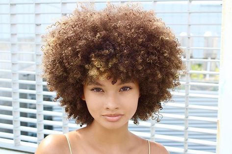 hannah mussette (@mussette) • Instagram photos and videos Mussette Instagram, Hannah Mussette, Cut My Hair, The Goal, Light Skin, My Hair, Hair Hacks, Natural Hair, Natural Hair Styles