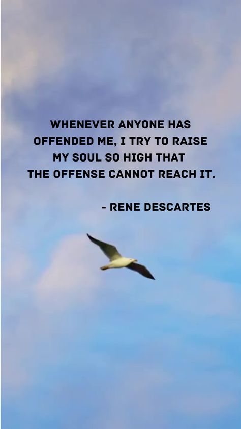 Discover how we can transcend the hurt caused by others' actions or words by nurturing our inner strength and rising above the negativity. #TranscendingOffense #ElevateYourSoul #ResilienceWithin #RisingAboveNegativity #InnerStrength #EmbracingPeace #ChooseYourResponse #SerenityWithin #PersonalGrowth #DetachingFromOffense #FindingInnerPeace #ReneDescartes #SoulElevation #TranscendAdversity #CultivatingResilience #PositiveMindset #InnerTransformation #SpiritualWisdom #EmbracingCompassion Rising Above Quotes, Rising Again Quotes, Quotes About Rising Up, Quotes About Rising From The Ashes, Quotes About Rising Above Negativity, Rene Descartes, Finding Inner Peace, Spiritual Wisdom, Inner Strength