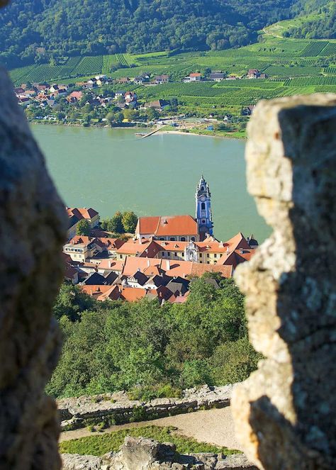 Danube River Cruise, Plain Chicken, Danube River, Colourful Buildings, River Cruise, Europe Tours, Most Beautiful Cities, River Cruises, Bratislava