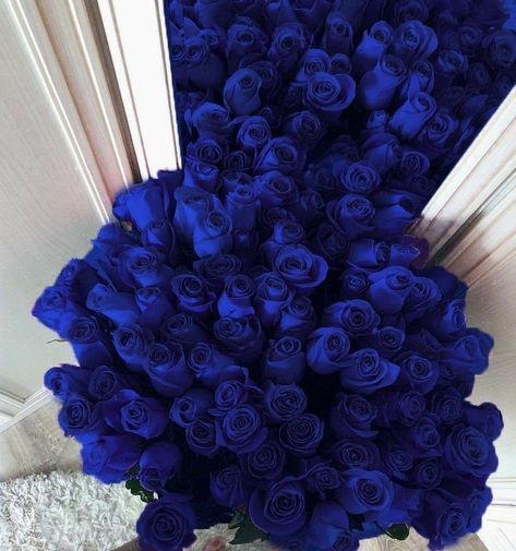 Blue Bouquet Aesthetic, Blue Roses Aesthetic, Blue Roses Bouquet, Dark Blue Roses, Rose Blu, Royal Blue Roses, 17 Doğum Günü, Blue Flower Bouquet, Blue Rose Flower