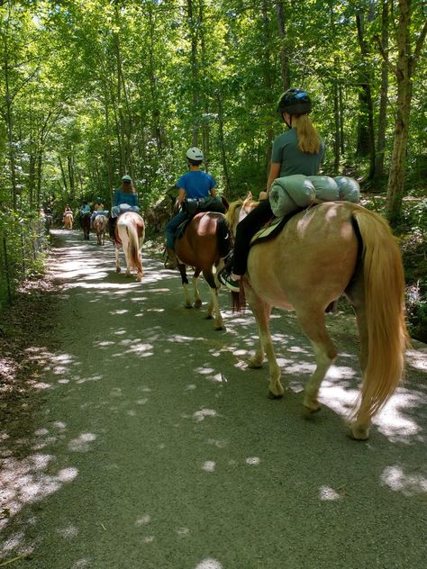 Mammoth Cave Kentucky, Horse Adventure, Shawnee National Forest, Mammoth Cave National Park, Cave City, Mammoth Cave, Adventure Campers, Horse Camp, Cave Tours