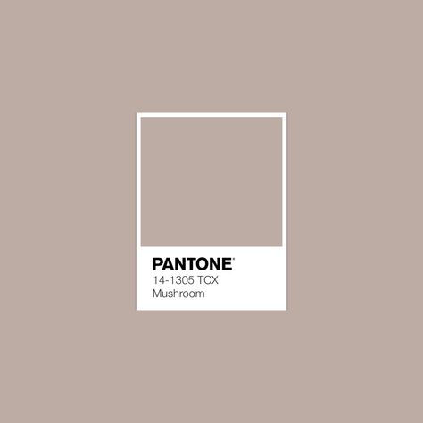 Discover FHI Cotton's Swatch Library in 1 Place · PANTONE 14-1305 TCX Mushroom Color · #Pantone #Color #Swatch #ColorPalette · @pantonecolor · Kid’s Pattern Pantone Swatches, Color Of The Week, Pantone Palette, Color Pantone, Pantone Colour Palettes, Palette Design, Brand Color Palette, Color Story, Color Palette Design