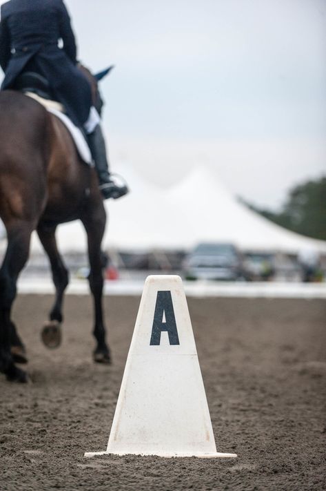 Dressage aesthetic. Basic Training, Dressage, The Basics, Equestrian, White, Black