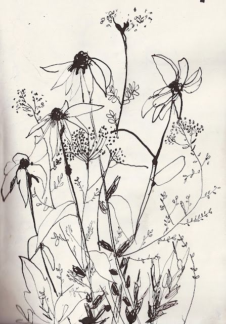 Katy Smail  thistledown spirits Sea And Flowers, Wall Sketch, Floral Sketches, Flower Line Drawings, Flower Art Drawing, Parchment Craft, 수채화 그림, Martha's Vineyard, Mixed Media Art Journaling