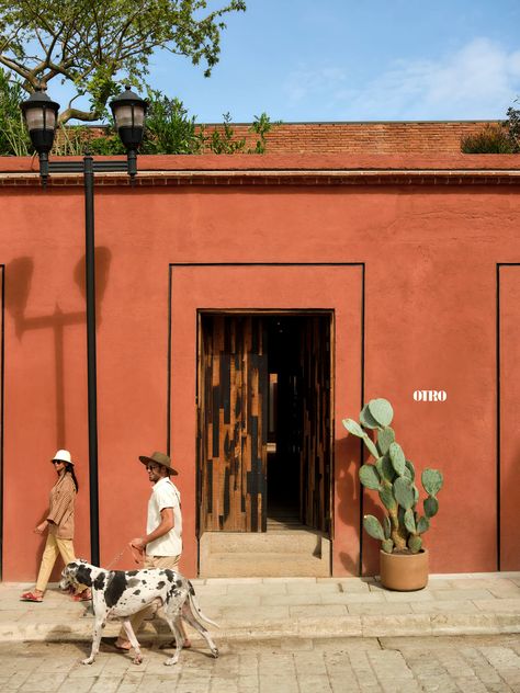 Oaxaca Architecture, Collage Branding, Materials Architecture, Pueblo House, Mexican Cafe, Mexican Villa, Mexican Aesthetic, Houses In Mexico, Rustic Restaurant