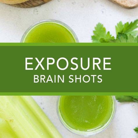 EXPOSURE Brain Shots Brain Shots Recipe Medical Medium, Brain Shots Recipe, Brain Shot, Mold Exposure, Radiation Exposure, Anthony William, Medical Medium, Shot Recipes, Alkaline Diet