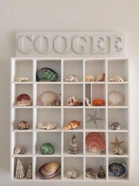 Shells organised in shelving look beautiful! She’ll Collection Display, Shell Shelf, Shell Displays, Shell Projects, Shell Display, Beautiful Shells, Shell Ideas, Plastic Clothes Hangers, Art Coquillage